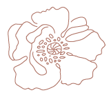 justflower.png