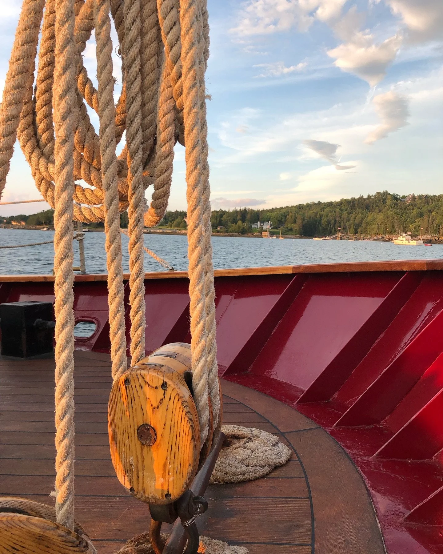 We just finished a 5 day trip on @windjammerangelique and had a wonderful time. TONS of relaxing, short trips on islands (there were wild blueberries!!!), amazing food, gorgeous sunsets, and an awesome crew. 1000% recommend! 👍👍👍👍👍

#maine #camde