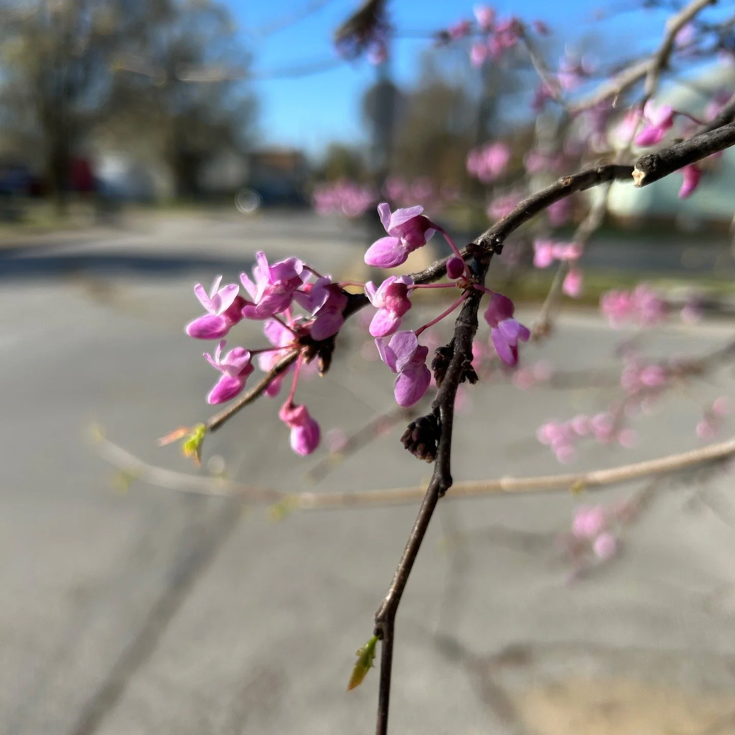 Spring is here! I&rsquo;ve officially pulled out my shorts and sandals. Hopefully, it won&rsquo;t snow again&hellip; 😭