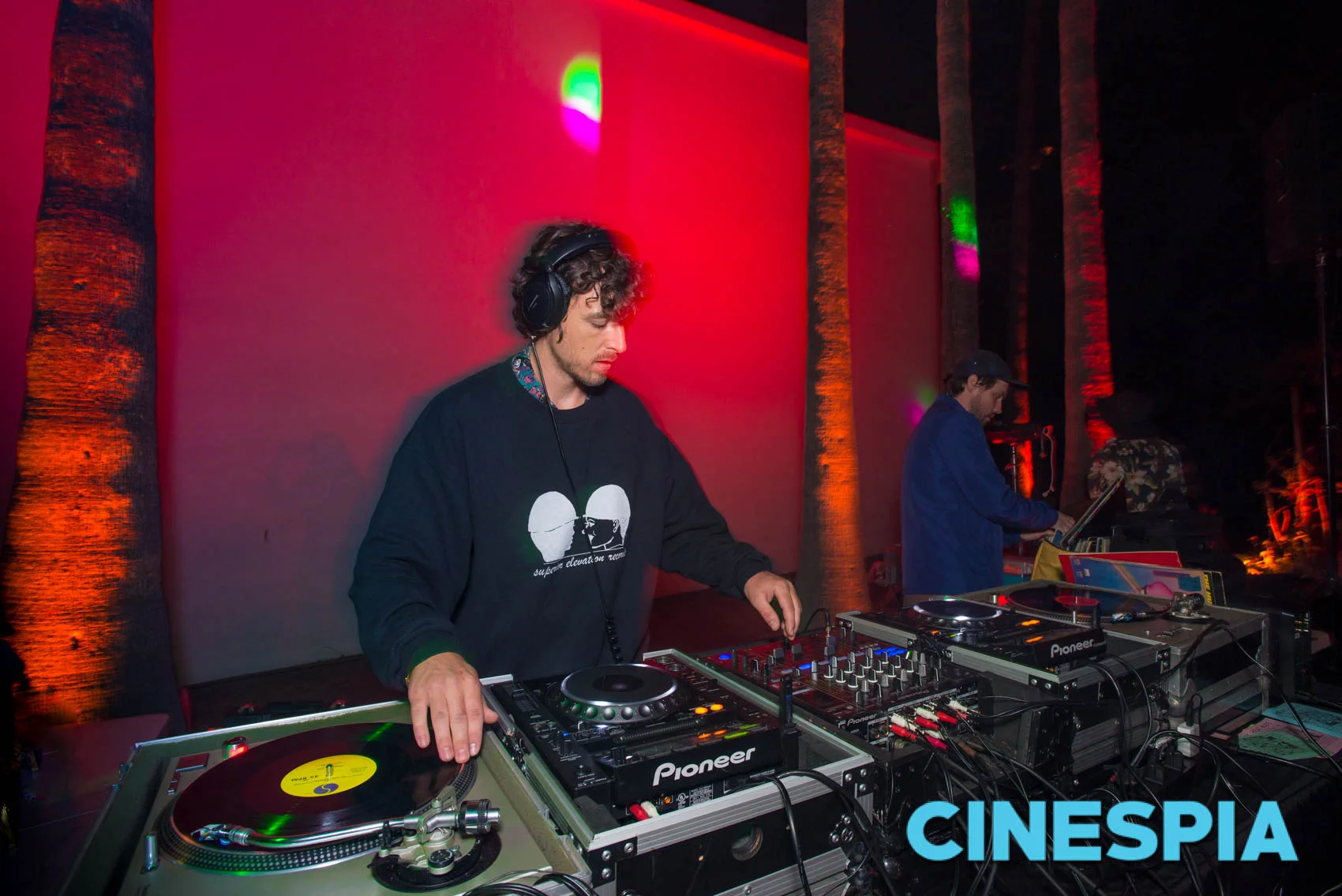 Los Angeles Vinyl DJ.jpg