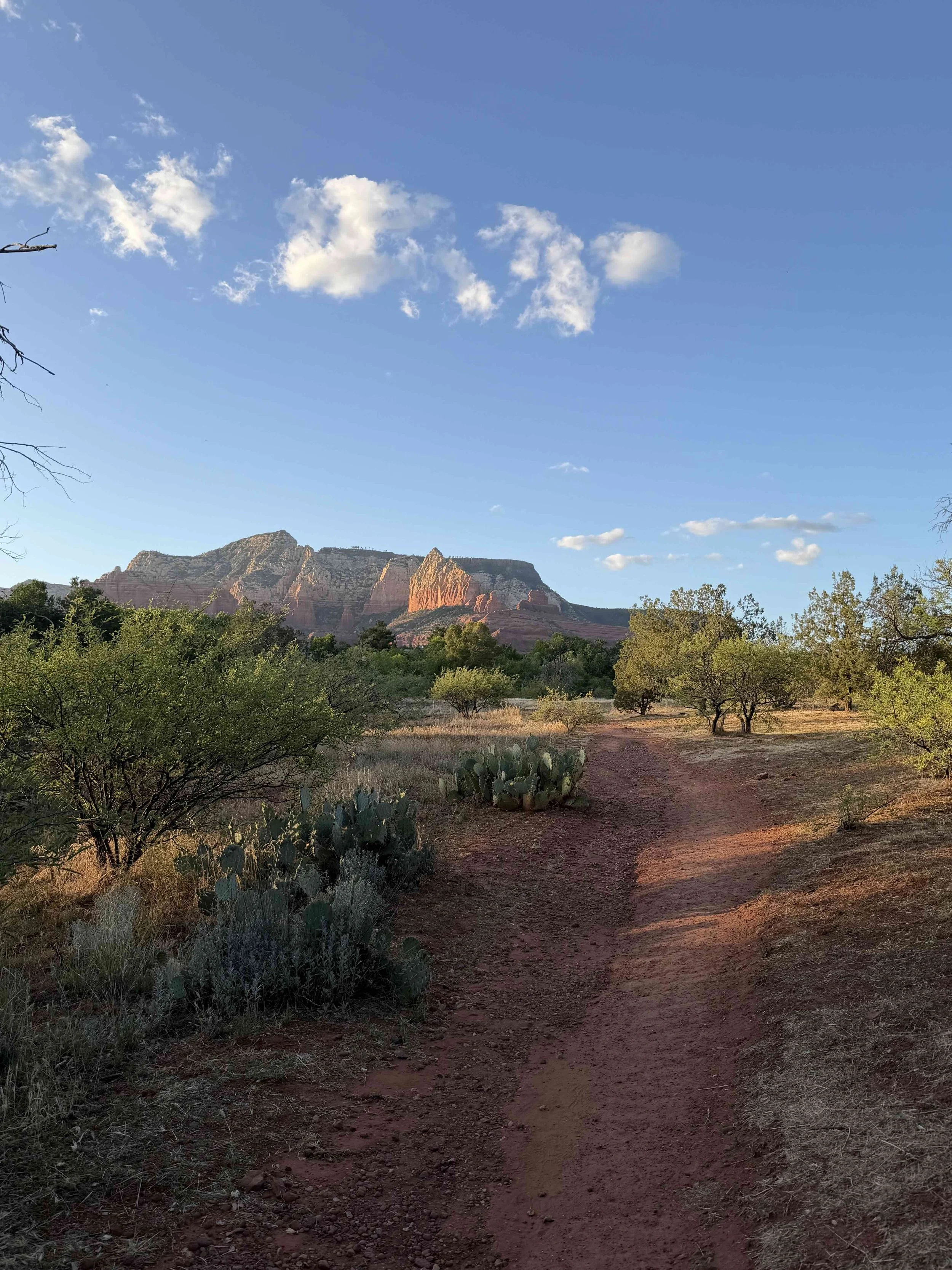 Sedona Wedding DJ