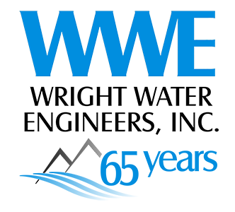 65 year WWE logo