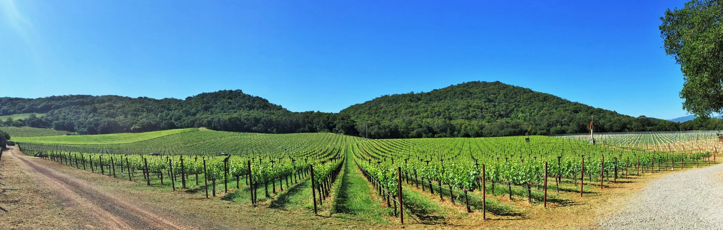 IMG_0022.JPG