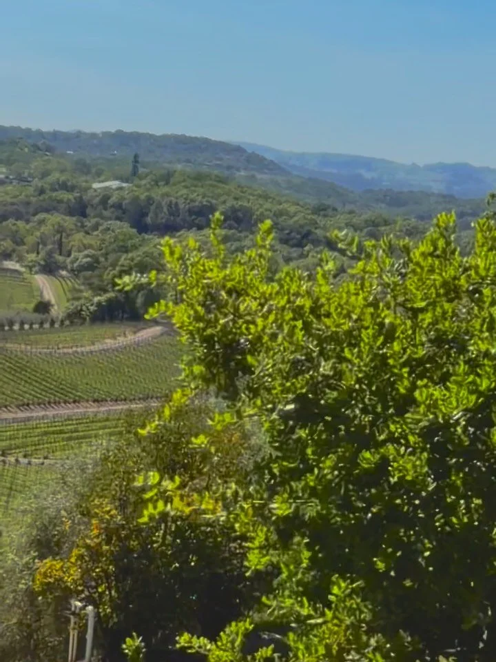 Wine Country need your help. This wine ain&rsquo;t gonna drink itself. With years of experience I&rsquo;ll help you select the best wineries for your palate and turn you into a sommelier by the end of the day. The 8-9 hour tour visits 3 wineries and 