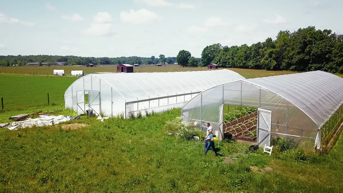 Sara greenhouses copy.jpg
