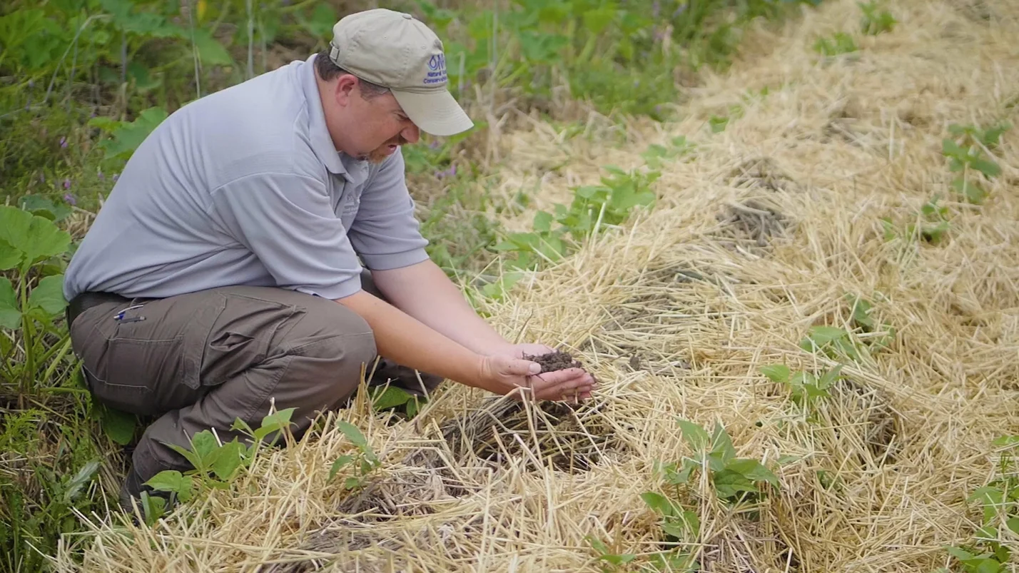 Soil health