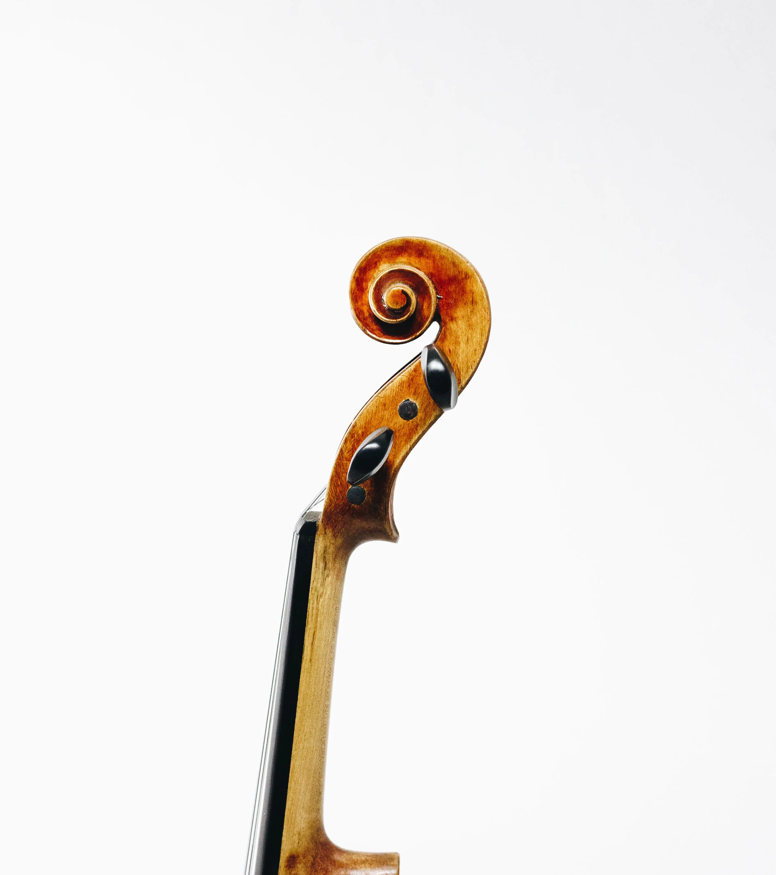 The Violin Shop — Rentals