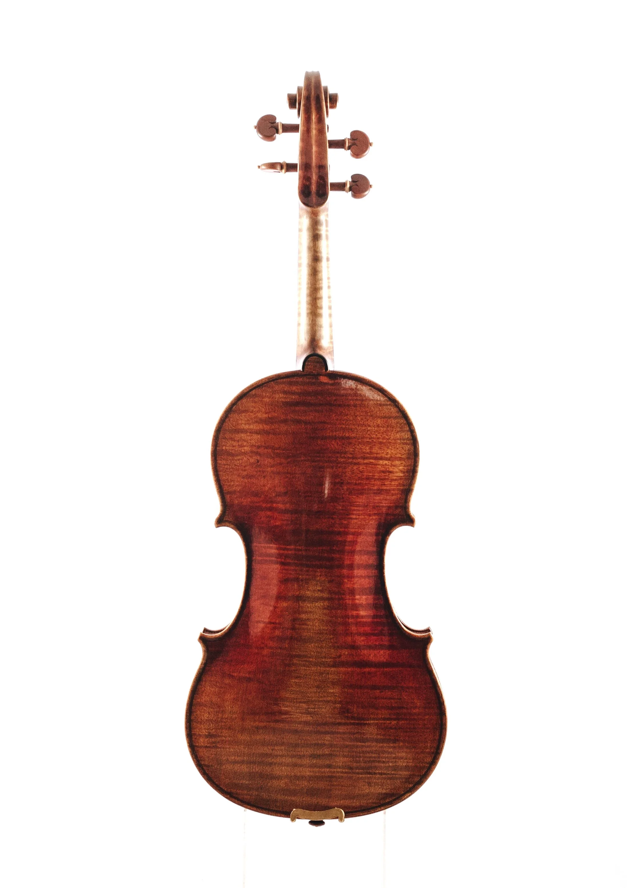 The Violin Shop — Sandro Luciano