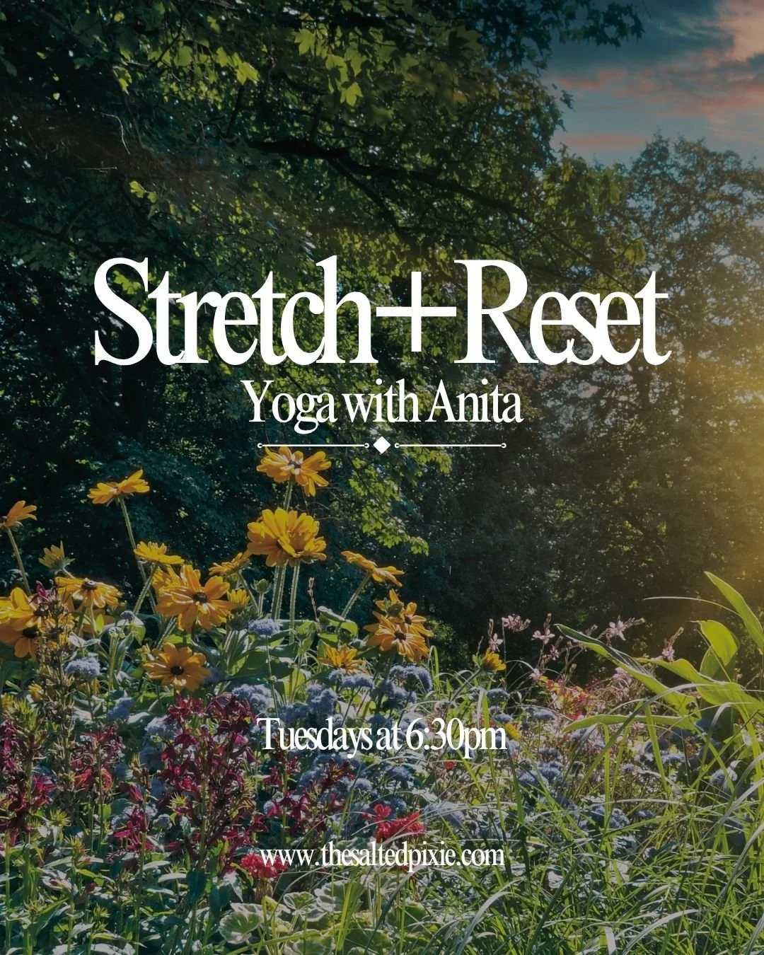 Stretch + Reset Yoga