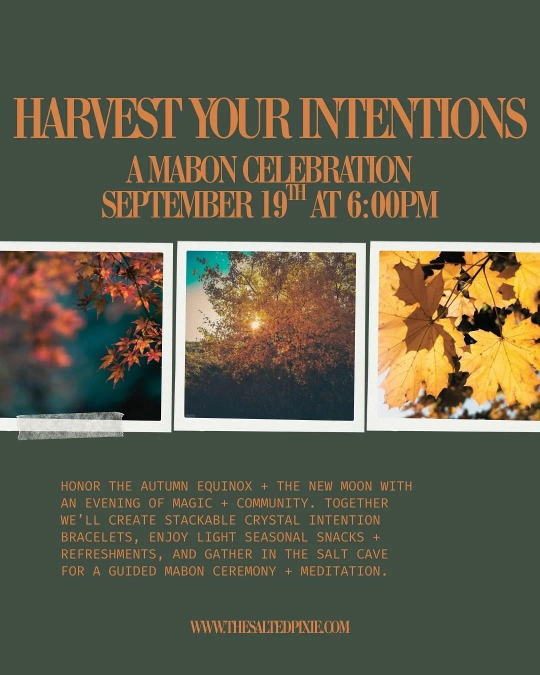 Harvest Your Intentions