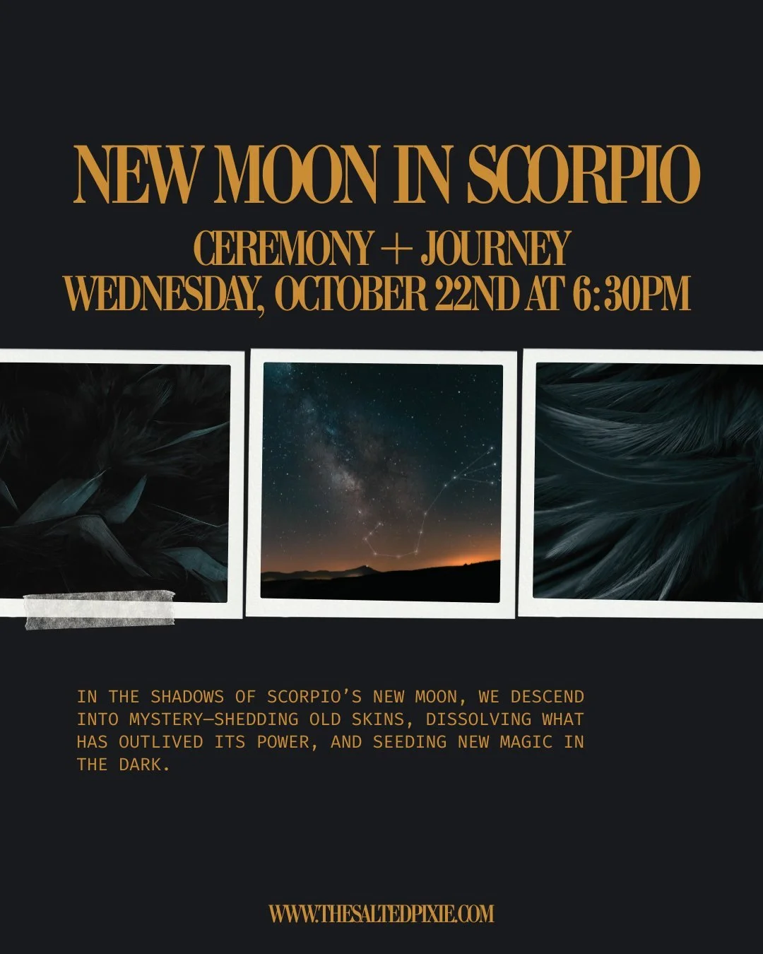 In the depths of Scorpio&rsquo;s new moon, we enter the dark &mdash; not to fear it, but to listen. This lunation calls us into the shadows, into the quiet places within us where transformation begins.

This is a night to shed what no longer serves, 