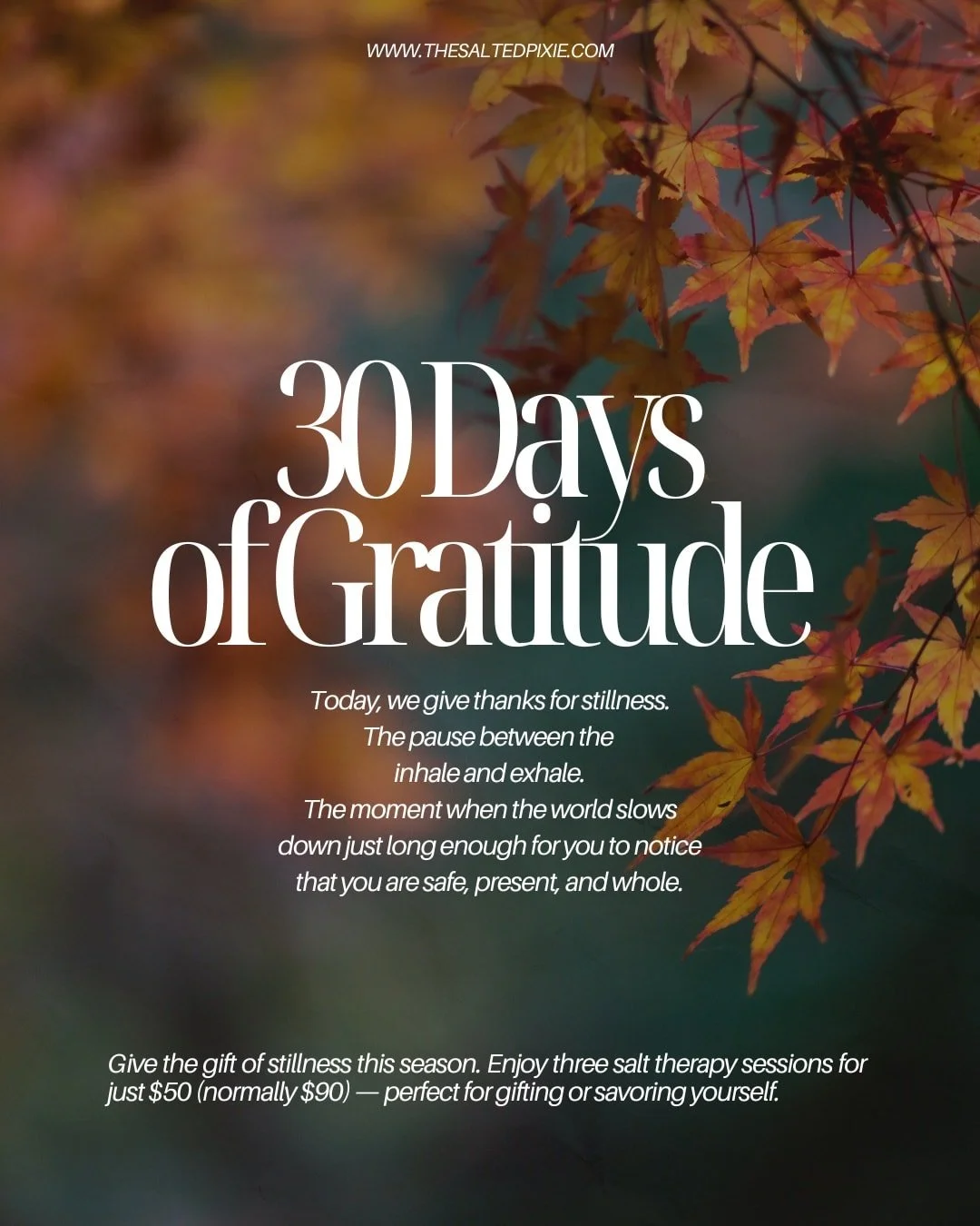 Today, we give thanks for stillness.
The pause between the inhale and exhale.

The moment when the world slows down just long enough for you to notice that you are safe, present, and whole.

Stillness isn&rsquo;t empty &mdash; it&rsquo;s where the bo