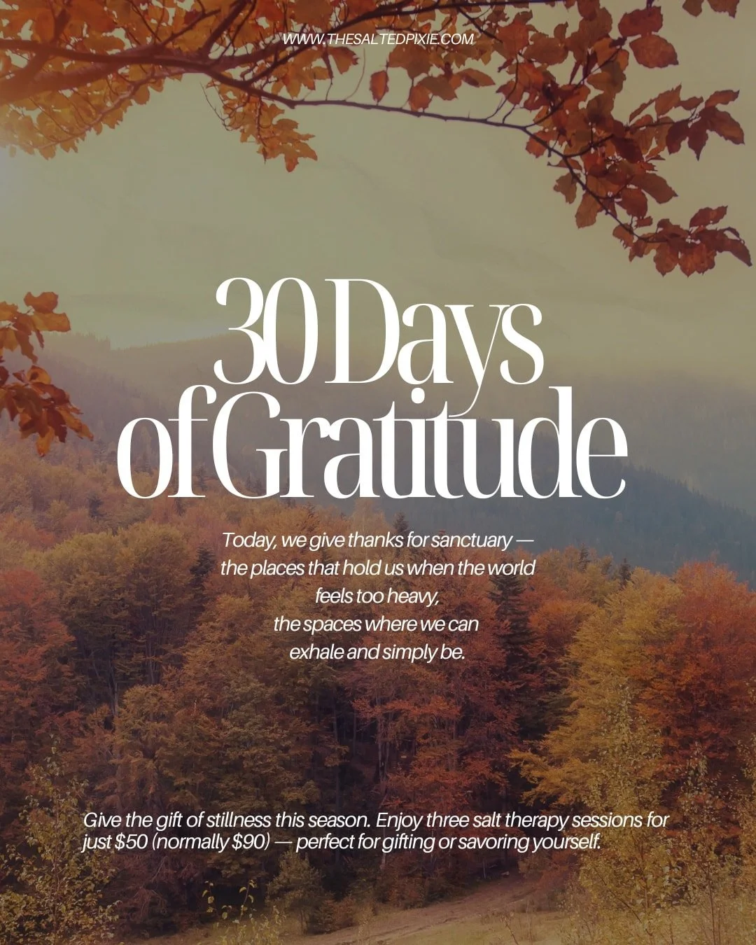 Today, we give thanks for sanctuary &mdash;
the places that hold us when the world feels too heavy,
the spaces where we can exhale and simply be.

Sanctuary doesn&rsquo;t need to be far away.
It can be a quiet room, a deep breath, a moment of stillne