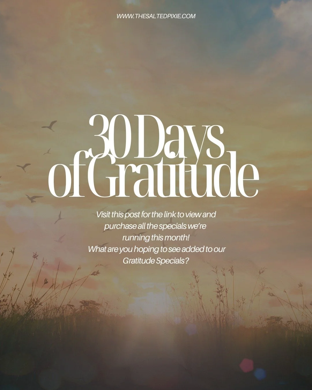 We&rsquo;re so excited to share this month&rsquo;s Gratitude Specials with you!
Visit this post for the link to view and purchase all the offers we&rsquo;re running throughout November.

💛 What are you hoping to see added to our Gratitude lineup? Te