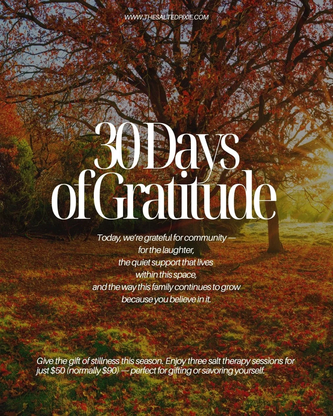 Today, we&rsquo;re grateful for community &mdash;
for the laughter, the quiet support that lives within this space,
and the way this family continues to grow because you believe in it.

The Salted Pixie has always been more than a salt cave &mdash;
i