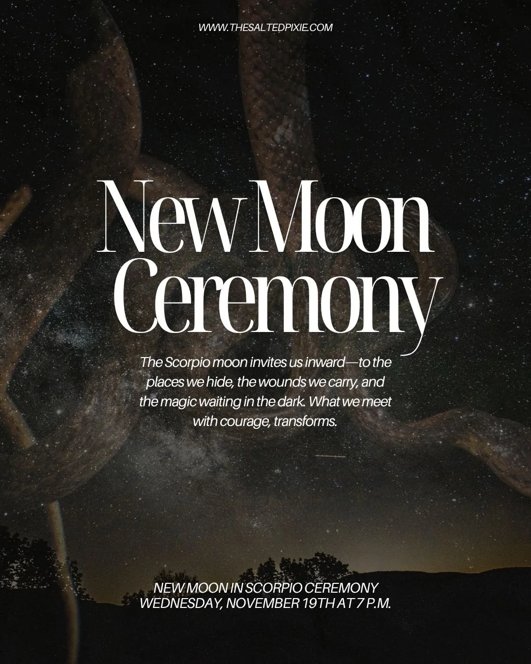 Scorpio&rsquo;s new moon is an invitation to release the old stories, confront what&rsquo;s been quietly weighing on the heart, and step into a deeper, more honest version of yourself.

This moon asks us to feel, to shed, to transform.

If you&rsquo;