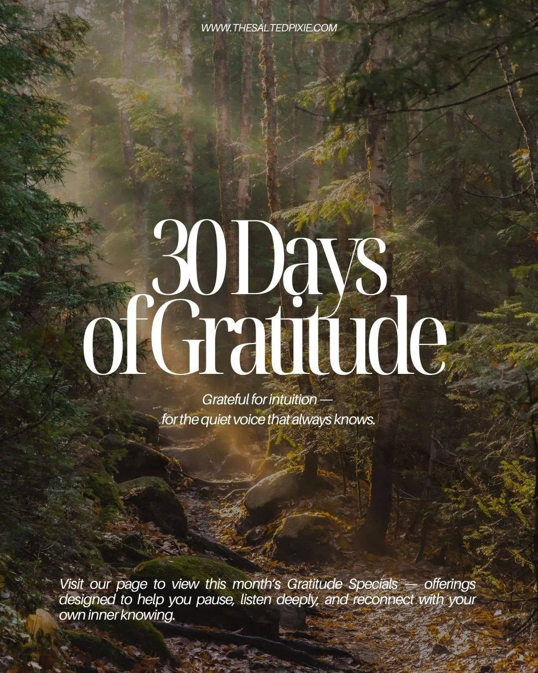 Intuition is our oldest language &mdash;
a soft whisper, a nudge, a feeling that says this way.
It&rsquo;s the knowing that lives beneath logic,
the truth that hums beneath all the noise.

When we slow down enough to listen,
we realize our intuition 