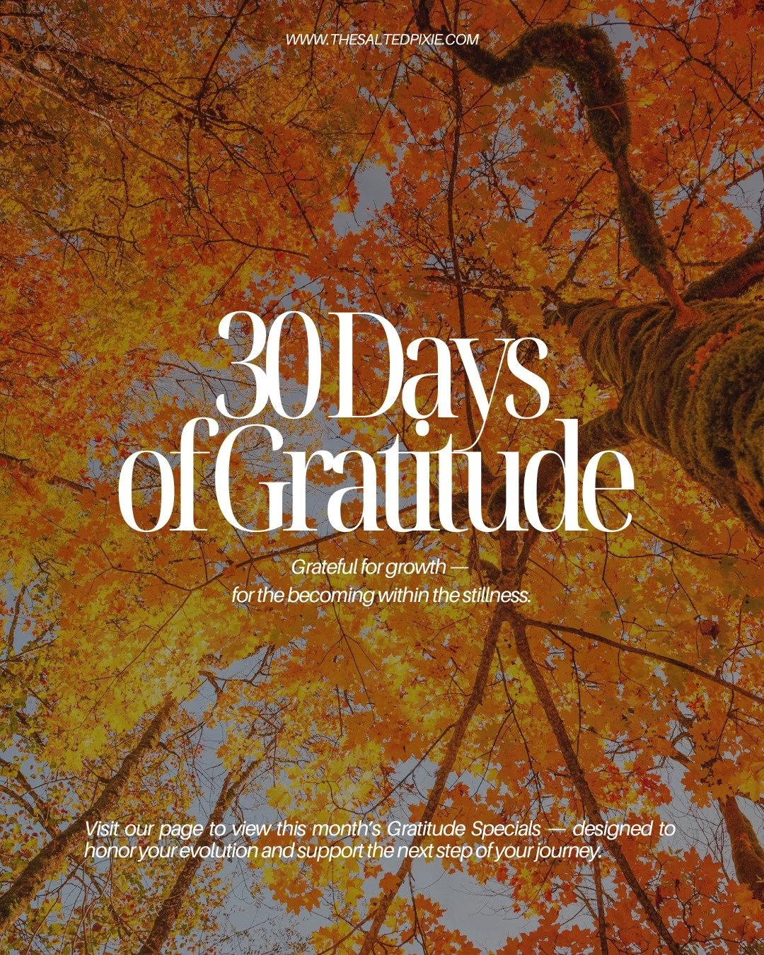 Growth doesn&rsquo;t always bloom loudly &mdash; sometimes it looks like rest, like reflection, like quiet resilience.
Every version of you that&rsquo;s learned, softened, or expanded this year deserves gratitude. 🌙

✨ Visit our page to view this mo