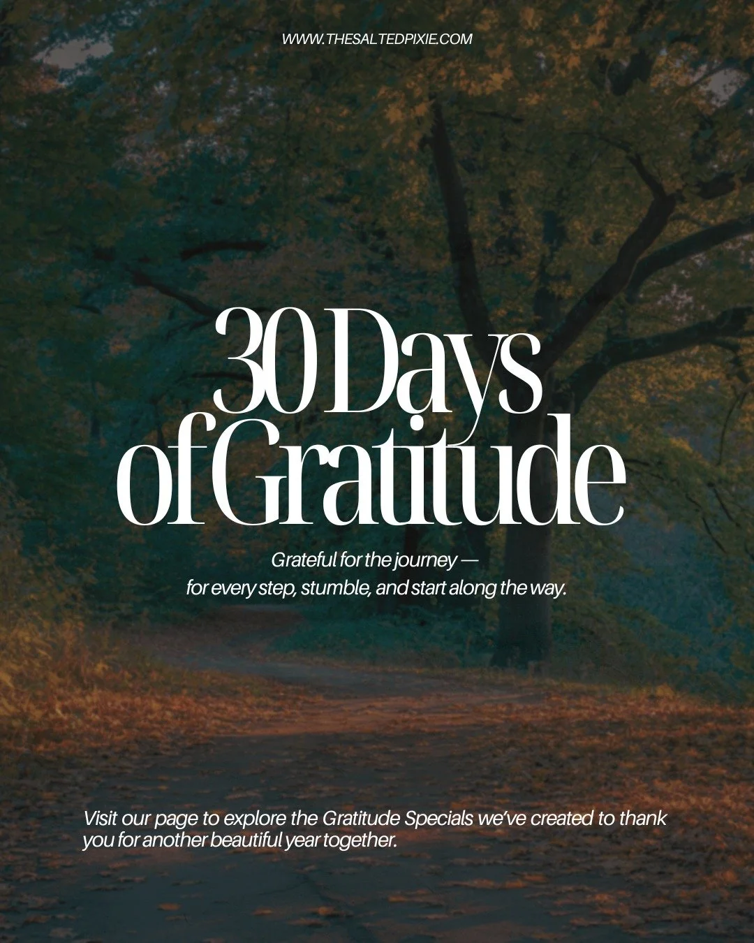 Gratitude invites us to look back &mdash; not with judgment, but with tenderness.
To see the lessons in the detours, the strength in the pauses,
and the grace in the moments that didn&rsquo;t go as planned.

The path of healing, growth, and creation 