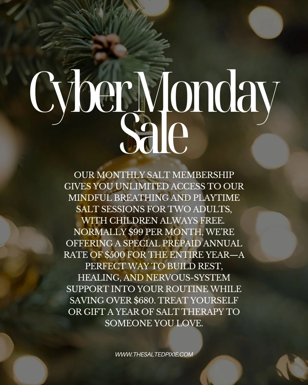 ✨ Cyber Monday at The Salted Pixie ✨
If you&rsquo;ve been wanting to gift yourself (or someone you love) more calm, rest, and breath in the year ahead, this may be the perfect moment.

For today only, our Monthly Salt Membership is available at a spe