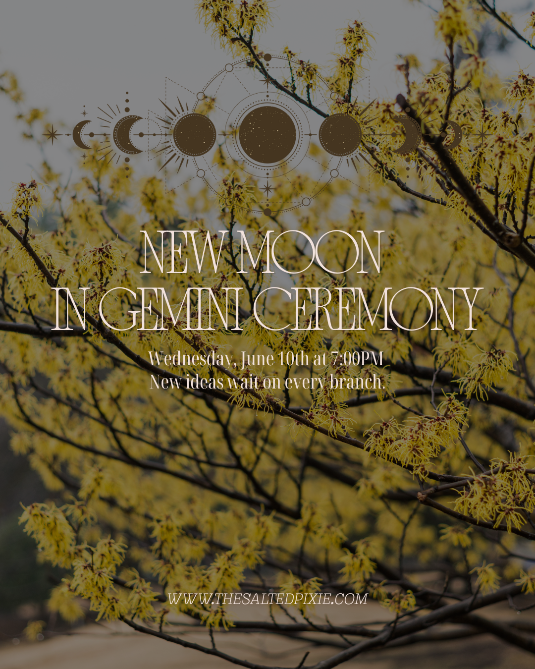 New Moon in Gemini Ceremony