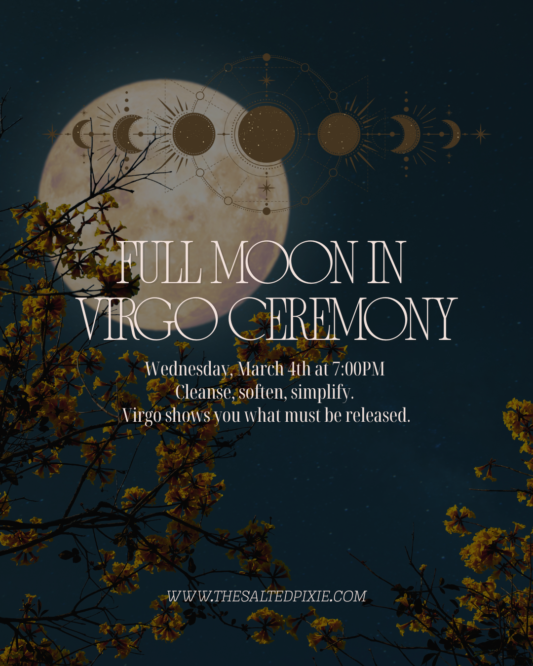 Full Moon in Virgo Ceremony