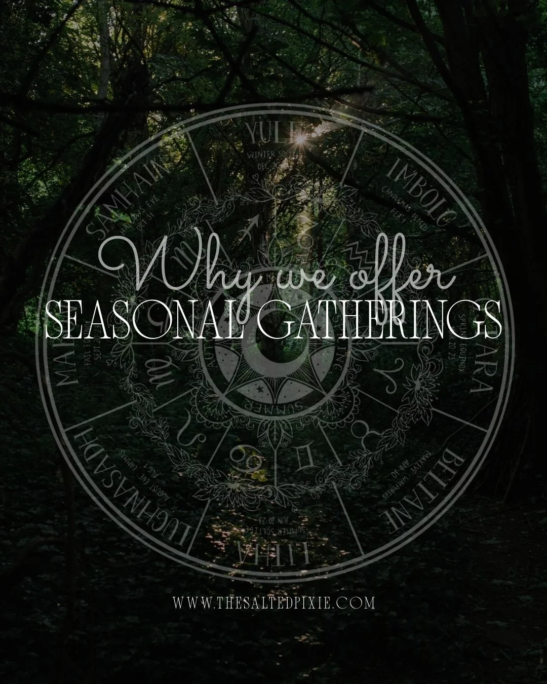The body doesn&rsquo;t move in straight lines.
It moves in cycles.

Modern life often asks for constant productivity &mdash; the same pace, all year long. But our nervous systems are seasonal. Energy naturally rises and falls with light, temperature,