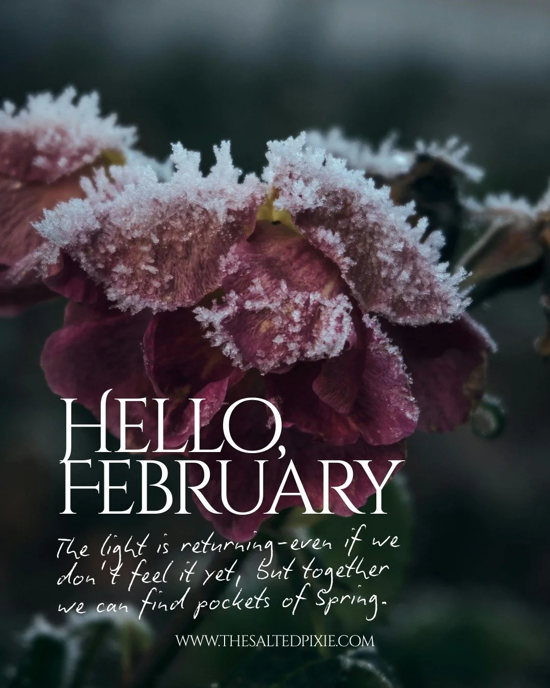 February has always been my hard month.

It&rsquo;s the month where motivation dips, where moving forward can feel heavier, where my mental health has historically struggled. When I look back&mdash;even to childhood and my teenage years&mdash;Februar