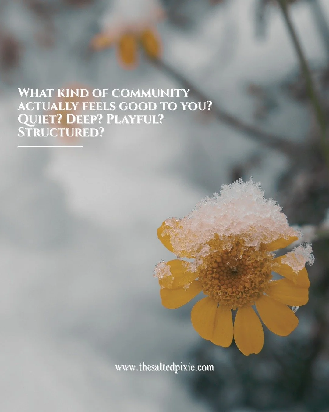 What kind of community actually feels good to you?

Not the loudest one.
Not the trendiest one.
Not the one you feel like you should want.

But the one your nervous system softens into.

Maybe it&rsquo;s quiet.
Maybe it&rsquo;s deep.
Maybe it&rsquo;s