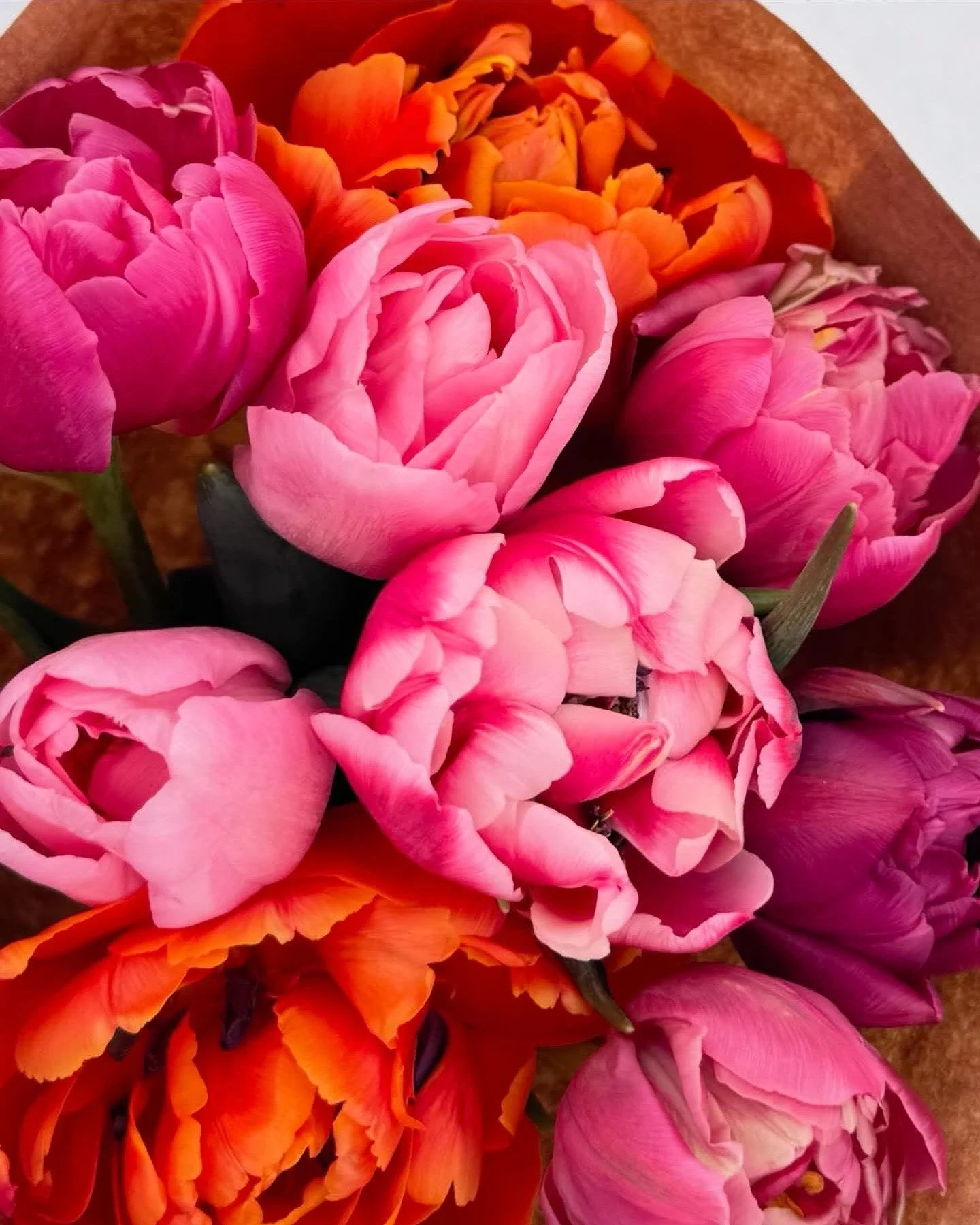 Happy Saturday, Pixies! ✨

We&rsquo;re open 10 AM &ndash; 6 PM today and still have a couple of openings for salt cave sessions. If you or your little Pixies would like to spend some time relaxing in the cave, comment below or send us a message and w