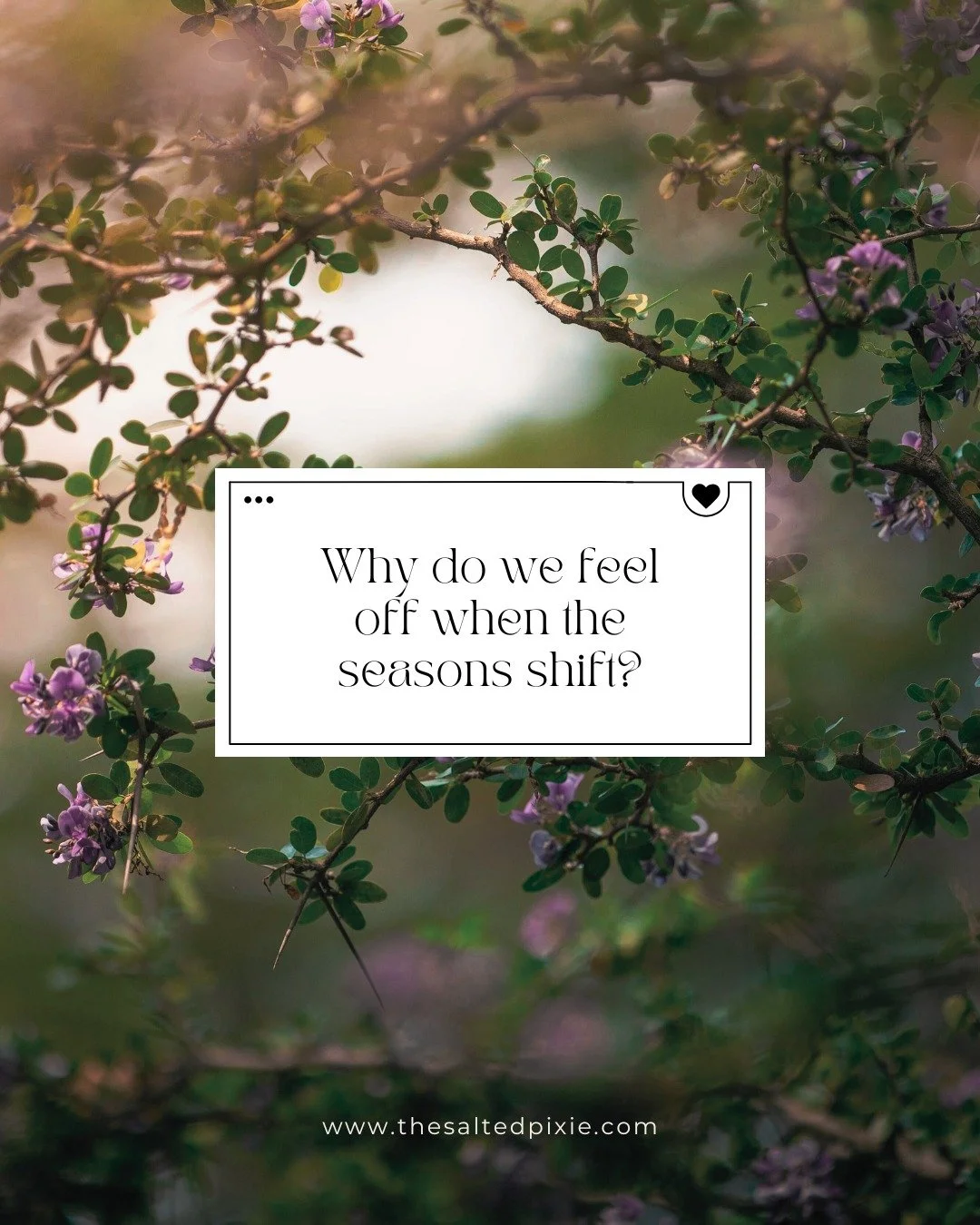 The days are getting longer.
The weather is starting to warm (maybe a little slower than we&rsquo;d like).

And maybe you&rsquo;ve been waiting for that moment&hellip;
where spring just clicks and suddenly you feel energized, motivated, and like your