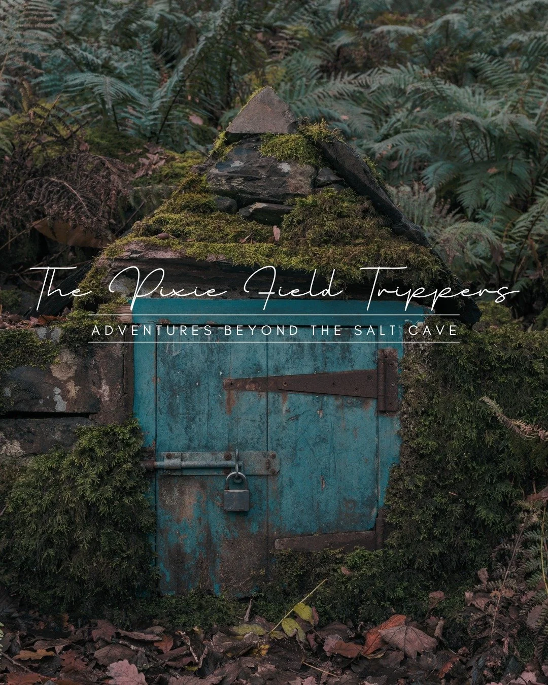 You know that feeling when you leave the cave and wish you could stay in that energy just a little longer?

Or when you meet someone at a ceremony or retreat and think&mdash;&ldquo;I wish we could hang out outside of this too.&rdquo;

Lately, we&rsqu