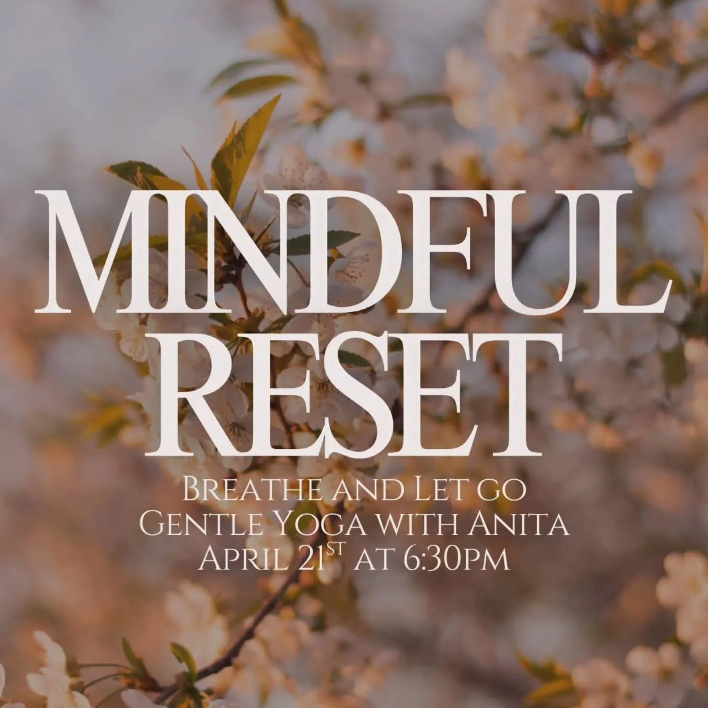 April 21st at 6:30 PM
$20 per person

This gentle yoga class focuses on the powerful connection between breath and release.

Through slow, mindful movement and intentional breathing, Anita will guide you into a practice that helps the body soften and