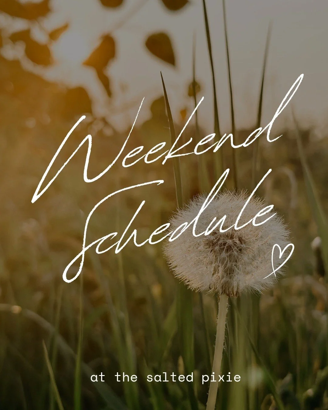 Kait is off celebrating one of her besties this weekend for a bachelorette party, so The Pixie will have slightly adjusted hours ✨

We will be closed Friday, May 1st and Monday, May 4th

Open Saturday: 10 AM&ndash;4 PM
Open Sunday: 11 AM&ndash;4 PM

