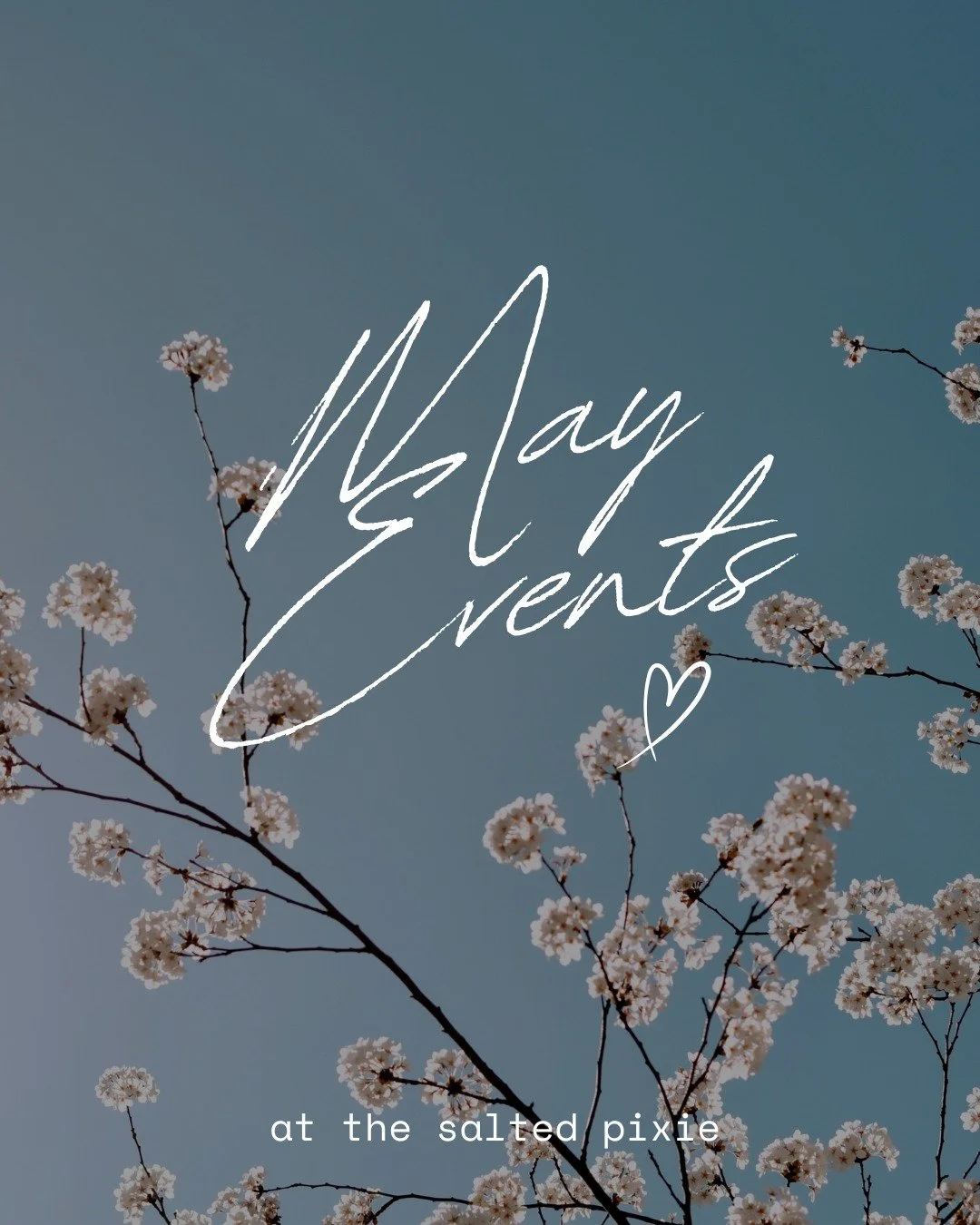 May has already begun, but there are still plenty of events, classes, and quiet little moments waiting for you at the Salted Pixie this month. 🤍

From yoga and meditation classes to moon ceremonies, support groups, scream therapy, salt sessions, and