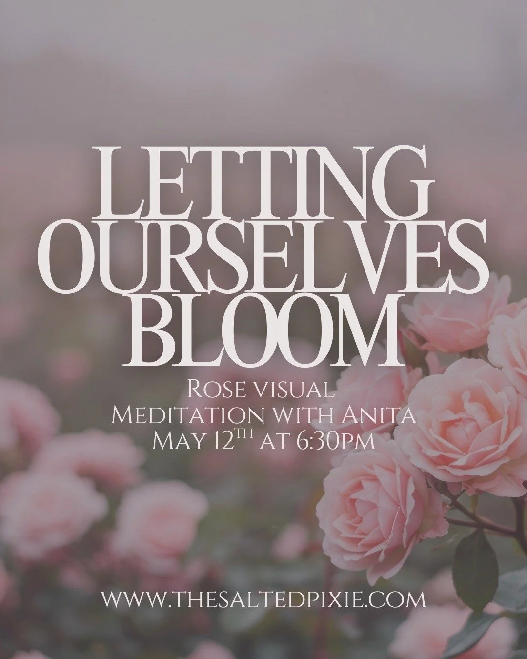 Some seasons of life ask us to push harder.

Others ask us to soften enough to finally hear ourselves again.

Join Anita on May 12th at 6:30 PM for Letting Ourselves Bloom, a rose-inspired visual meditation designed to help you reconnect with the par