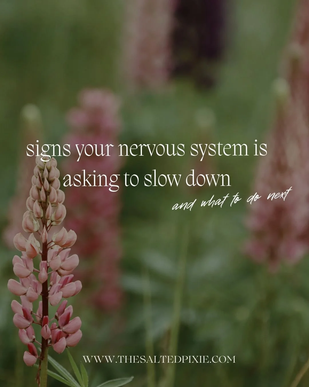 Sometimes your nervous system whispers before it screams.

And many of us have gotten so used to functioning in survival mode that we don&rsquo;t recognize the signs that our bodies are asking us to slow down.

This can look like:
&bull; feeling emot