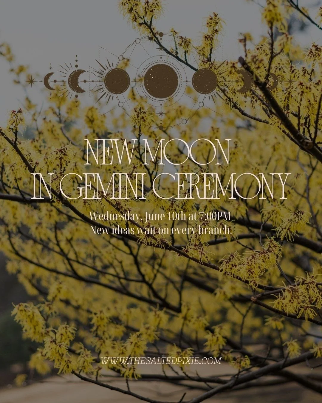 The New Moon in Gemini invites us to become curious about ourselves again.

Gemini energy is connected to communication, perspective, thought, storytelling, learning, and the many ways we grow through connection &mdash; both with others and with ours