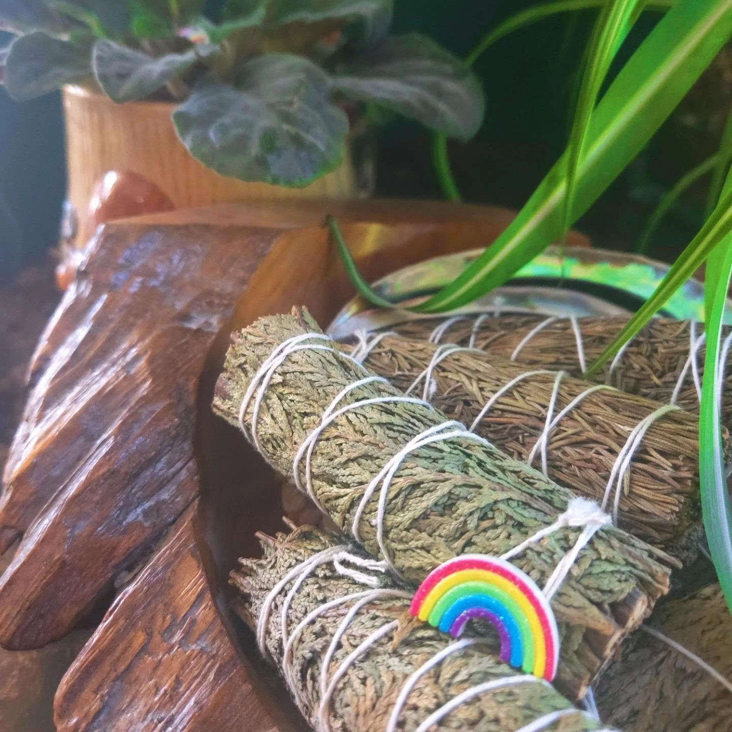 Happy Pride, everyone 🌈

We know we&rsquo;re a little late making a Pride post this year, but that is never because this community isn&rsquo;t deeply important to us.

At The Salted Pixie, our LGBTQIA+ community matters to us every single day of the