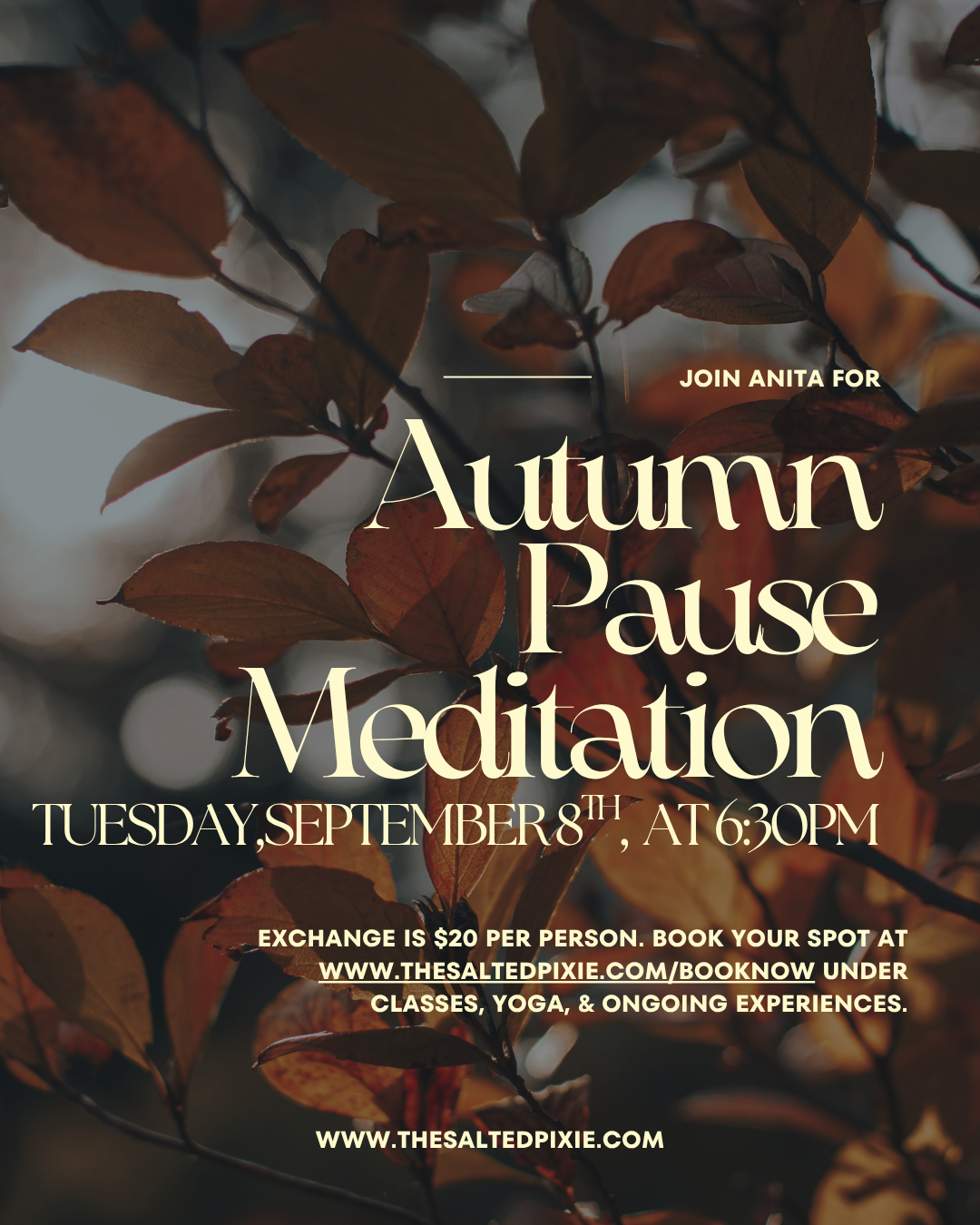 Autumn Pause Meditation