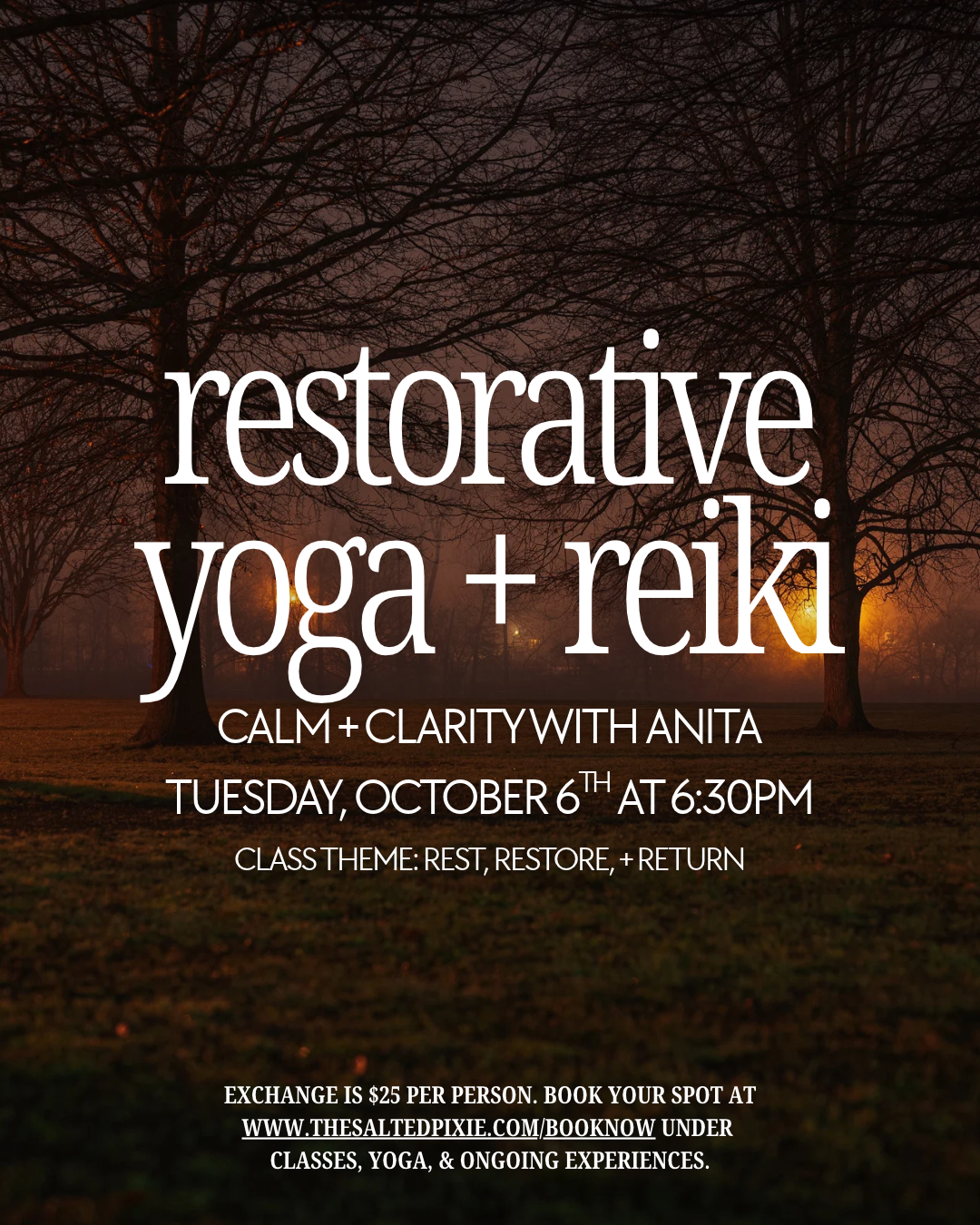 Restorative Yoga + Reiki
