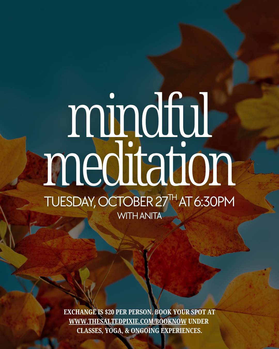Mindful Meditation