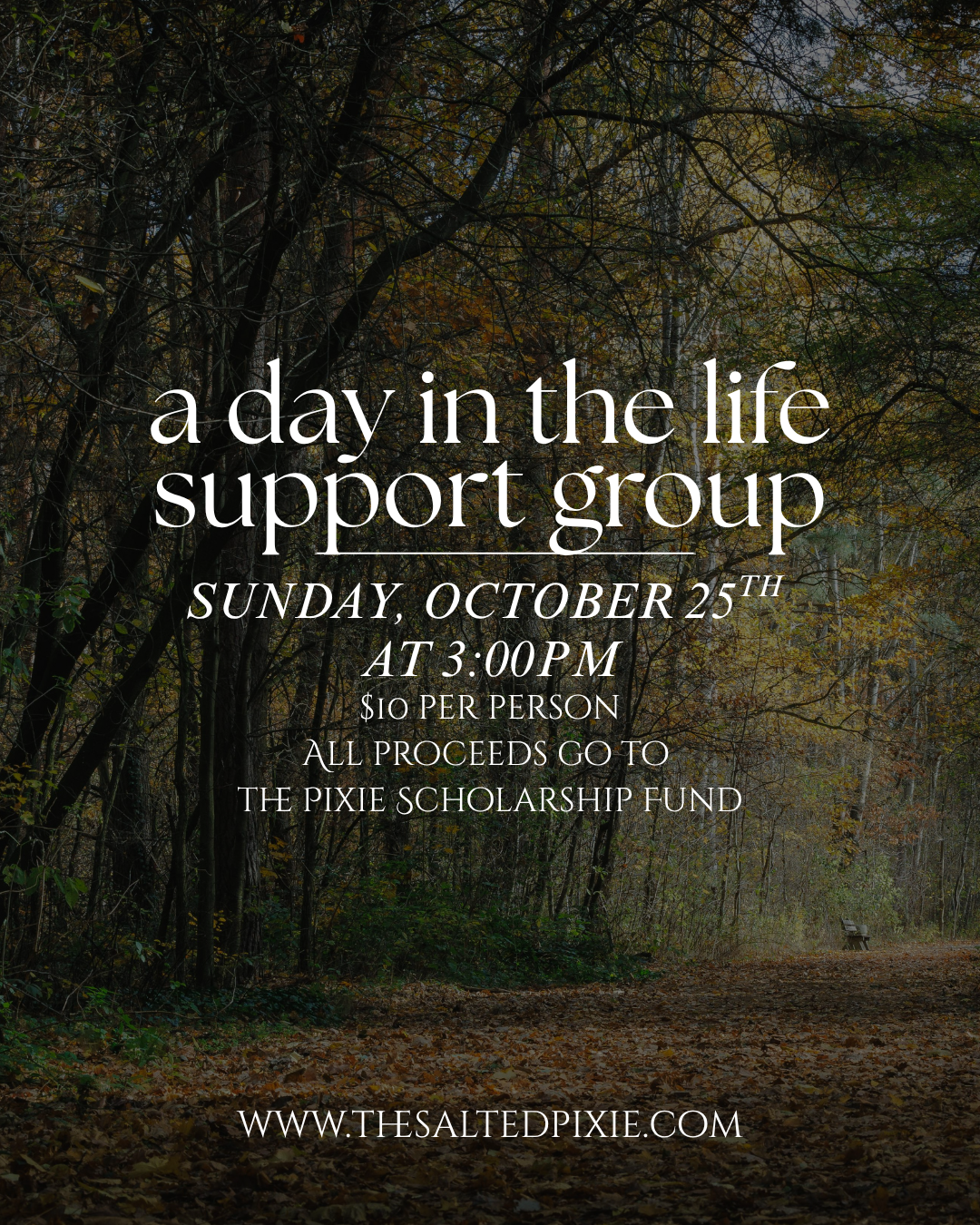 Support Group: A Day in the Life