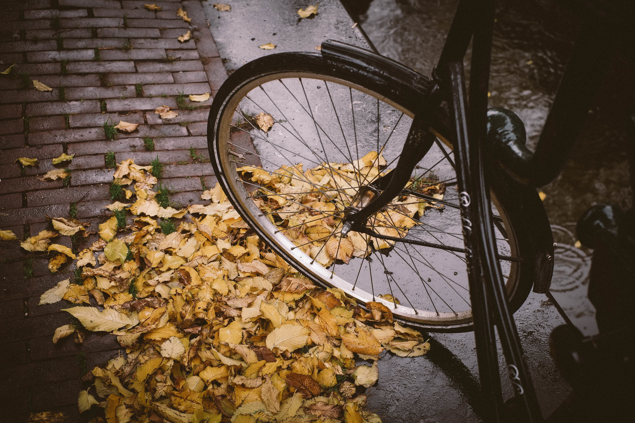 2017 NOV Amsterdam Rain-14.jpg