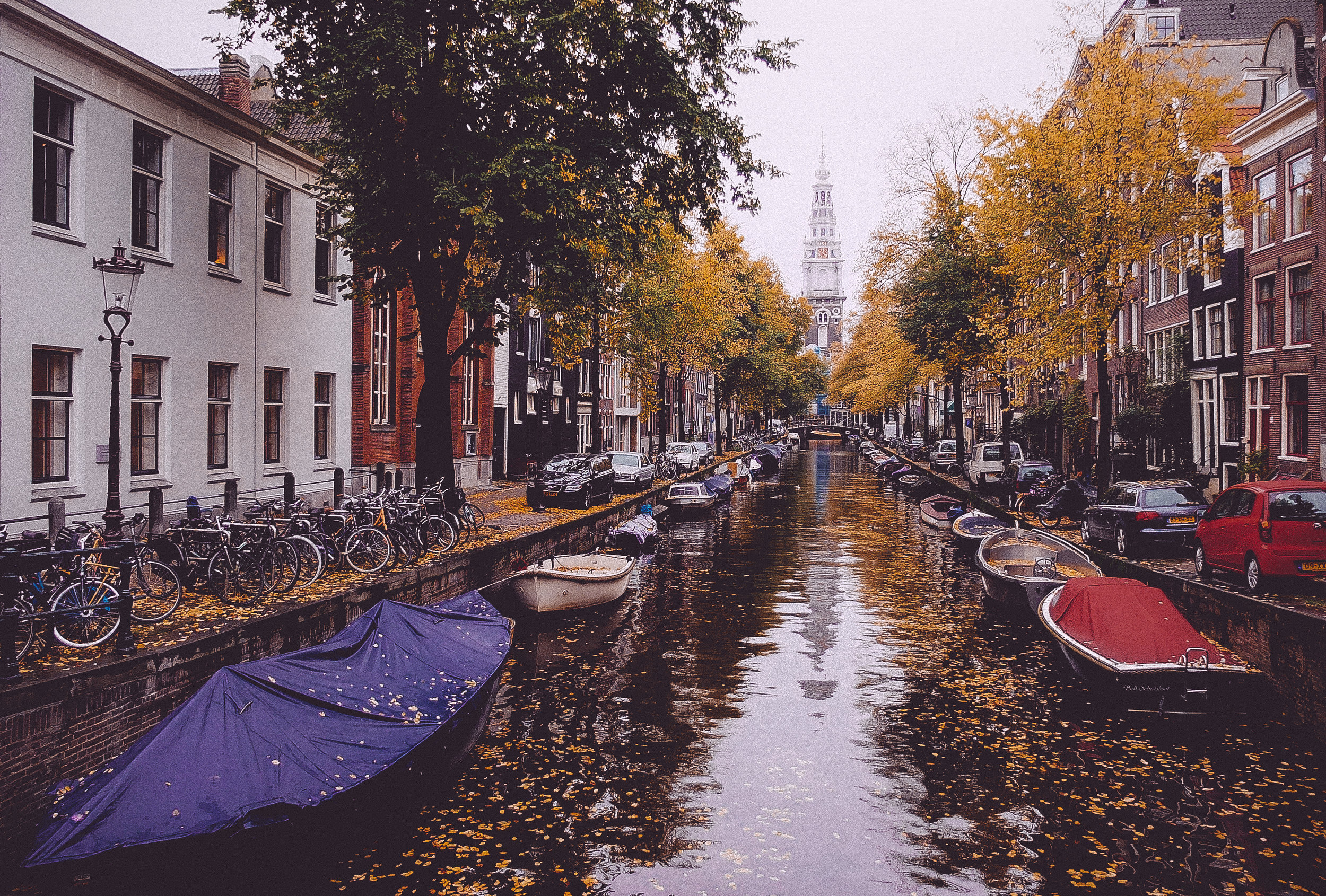 Amsterdam Autumn-9.jpg