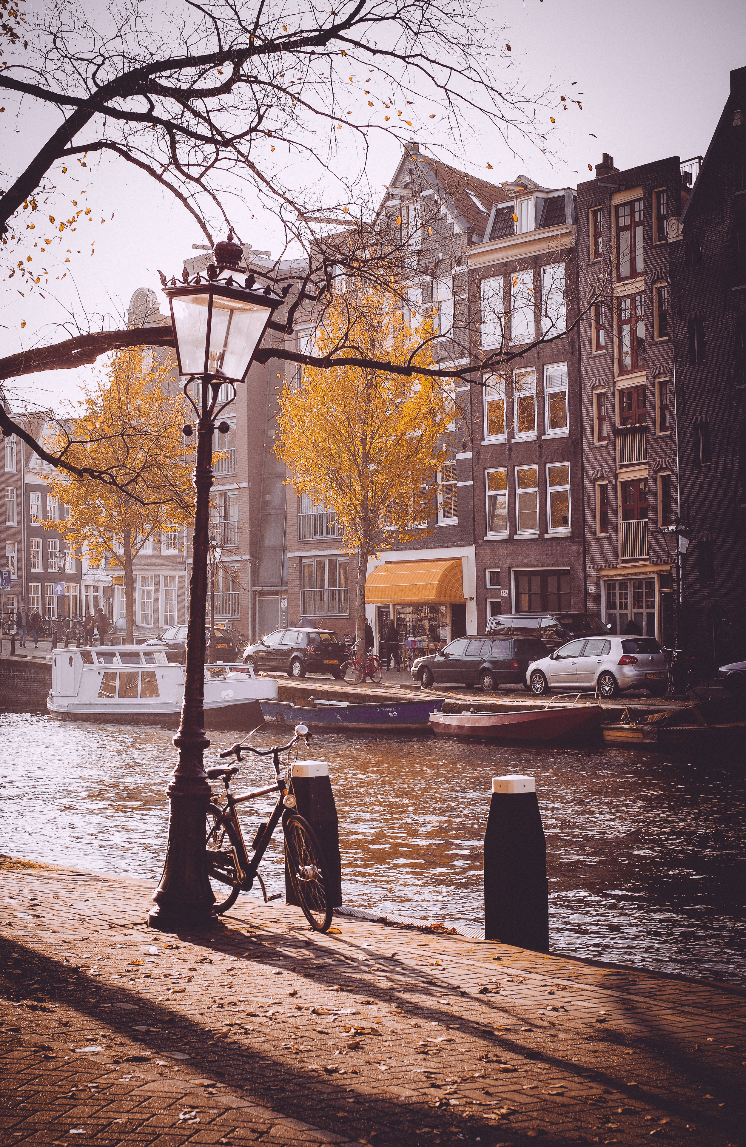 Amsterdam Autumn-20.jpg