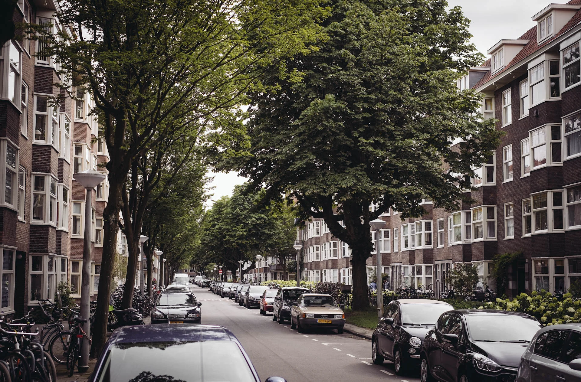 2017 JUL Amsterdam Alehandra in Amsterdam West le-34.jpg