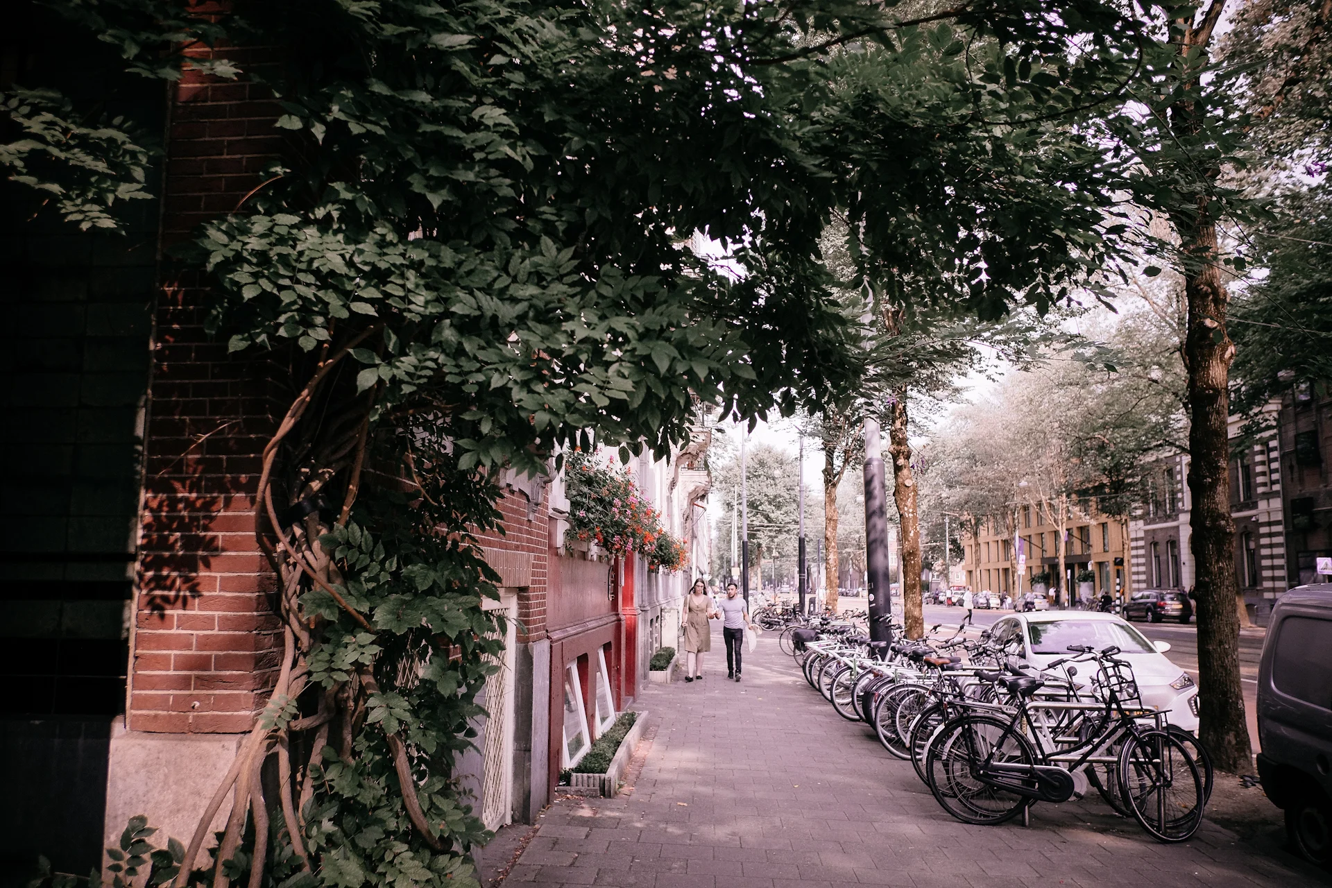 2018 AUG Amsterdam Elizabeth Home le-43.jpg