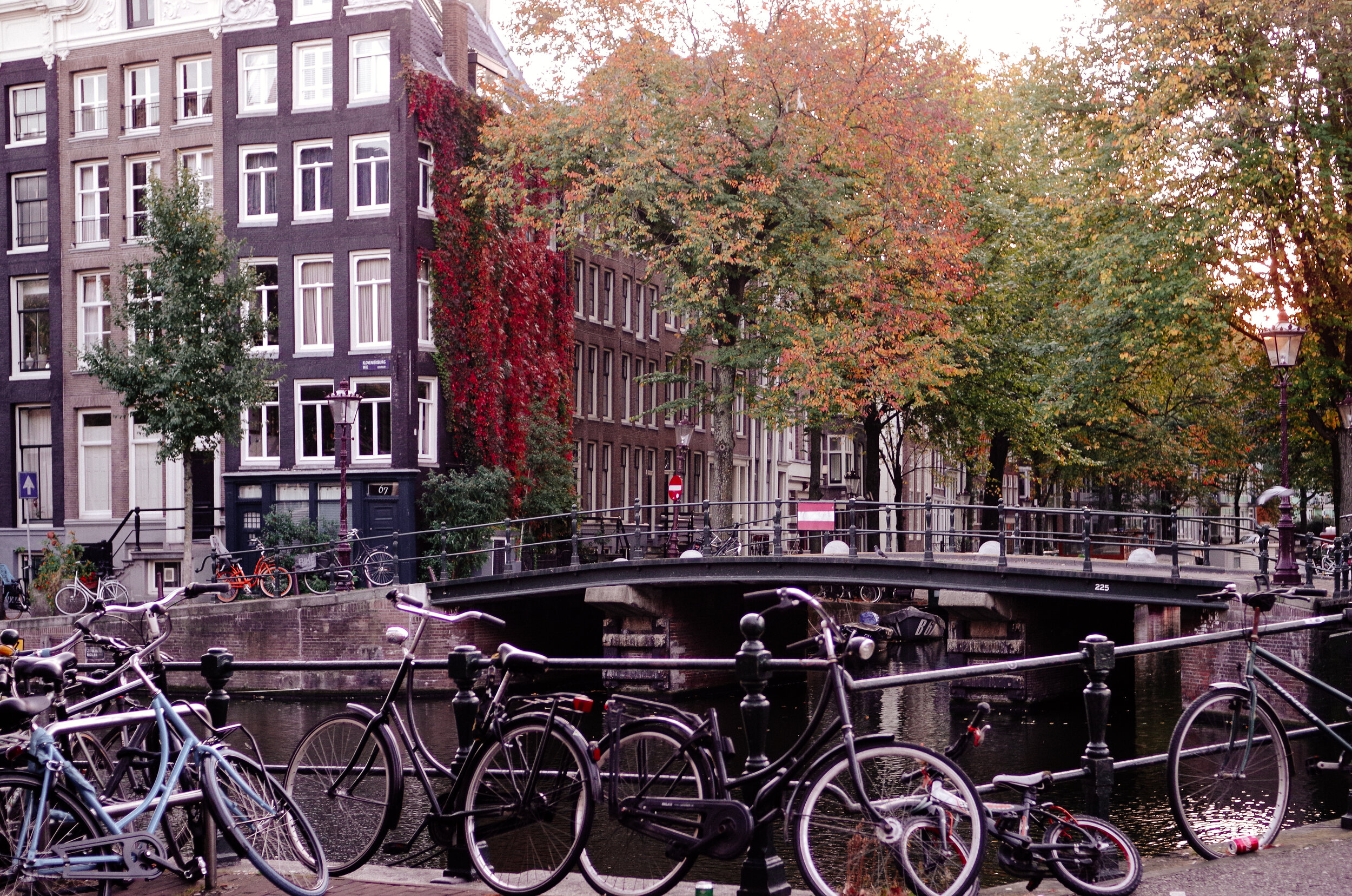 2018 OCT Amsterdam Red Light District-47.jpg