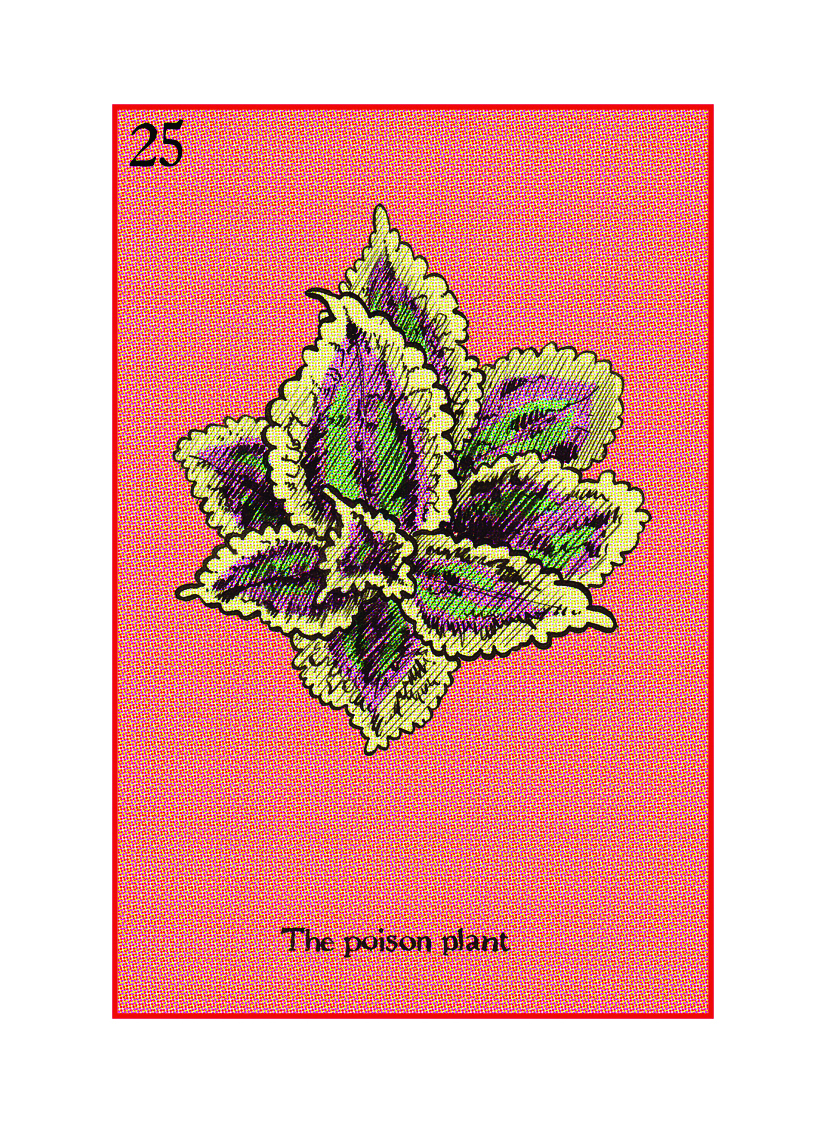 25 The Poison Plant.jpg